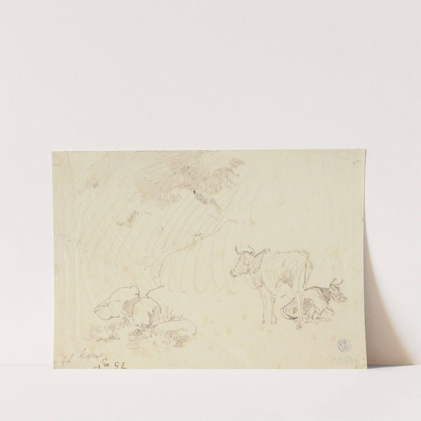 Zwei Kühe, eine stehend, eine liegend by Johann Nepomuk Rauch