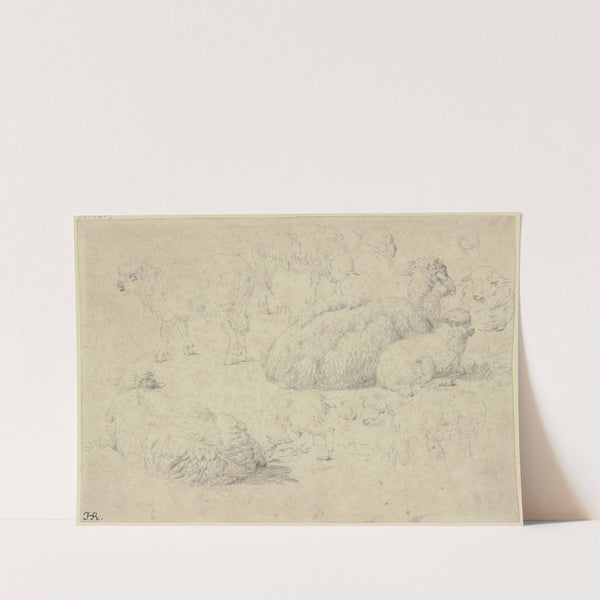 Zwei liegende Schafe mit Lämmern, im Hintergrund zwei stehende Schafe by Johann Heinrich Roos