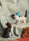 Zwei spielende Katzen