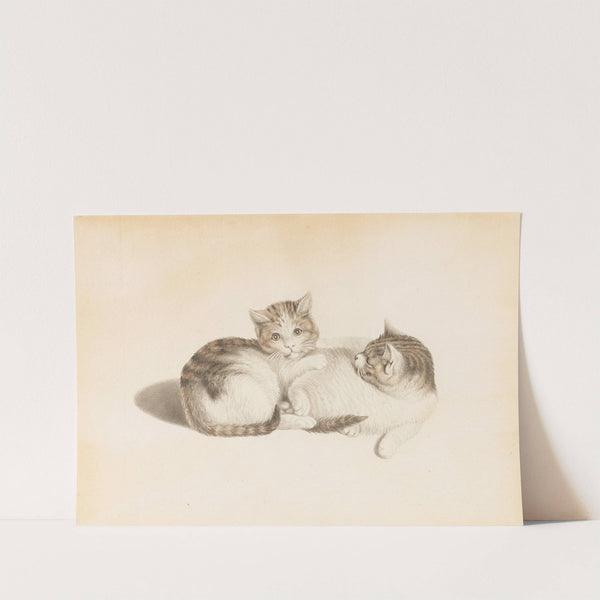 Zwei spielende Katzen by Gottfried Mind