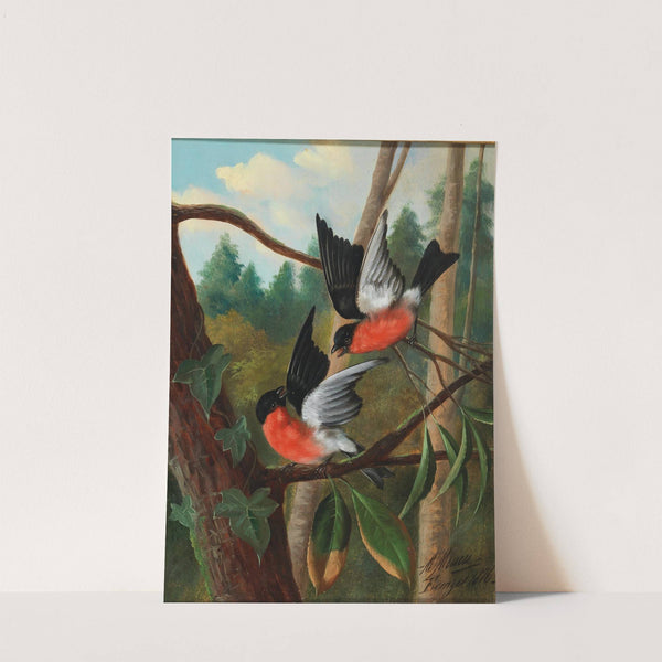 Zwei Vögel im Streit by Michelangelo Meucci