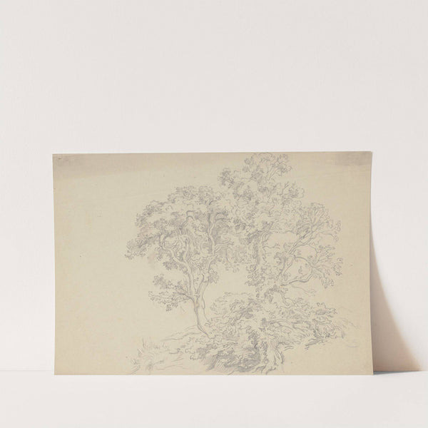 Zwei von Gebüsch umstandene Bäume by Friedrich Metz