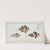 1. Anthias polymna, The Tontelton; 2. Anthias bifasciatus, The Jordaine. (1785-1797) by Marcus Elieser Bloch