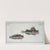 1. Blennius ocellaris, The Butterfly-fish; 2. Blennius Gattorugine. (1785-1797) by Marcus Elieser Bloch