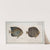 1. Chaetodon octofasciatus; 2. Chaetodon annularis. (1785-1797) by Marcus Elieser Bloch