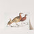 1. Ferrugineous Cryptonyx, Cryptonyx ferrugineus; 2. Long Billed Francolin, Francolinus longinostris by John Edward Gray