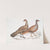 1. Hardwicke&#039;s Polyplectron Hen, Polyplectron Hardwickii. China. Brit. Museum; 2. Bay Francolin [Bay Many Spurred Francolin] by John Edward Gray