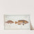 1. Lutianus Virescens, The Green-fin; 2. Lutianus Rcstratus[Rostratus], The Snouted Lutian. (1785-1797) by Marcus Elieser Bloch