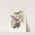 1. Mountain mocking bird, male. 2. 3. Varied thrush, male &amp; female by John James Audubon