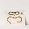 1. Penang Hypserina, Hypserina Hardwickii; 2. Hardwicke&#039;s Short Sea Snake, Lapemis Hardwickii. by John Edward Gray