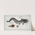 1. Platystacus angullaris, The Flat-Eel; 2. Platystacus verrucosus, The warty Flat-fish. (1785-1797) by Marcus Elieser Bloch