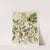 1. - Rubus australis. 2. - R. aaustralis, var. glaber. 3. - Rubus parva. 4. - Geum urbanum. 5. - Acaena sanguisorbce. Plate 29 by Sarah Featon