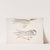 1. Waved Tern, Sterna brevirostris; 2. Orange Billed Tern, Sterna aurantia. by John Edward Gray