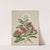 1. White rata. 2.Climbing rata. 3.Southern rata by Sarah Featon