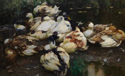 12 Enten im Wasser