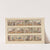 12 vignettes; fashion; amusement; charity, passion; English travelling; French travelling; recreation; adoration; inattention; attention devotion; introduction (1805)
