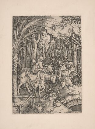 14 The Flight into Egypt (1504–1505)