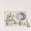 #2 from &#8216;Livre second essais de gravjre&#8217; second book of Engraved Designs (c. 1703) by Pierre Bourdon