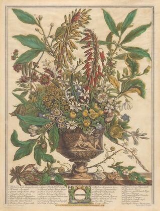 January (1730)