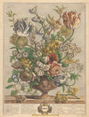 April (1730)