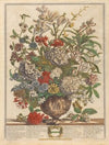 July (1730)