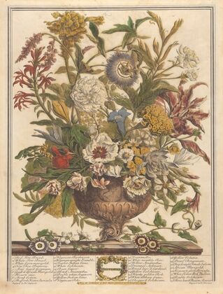 September (1730)