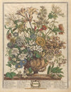 October (1730)