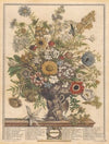 November (1730)