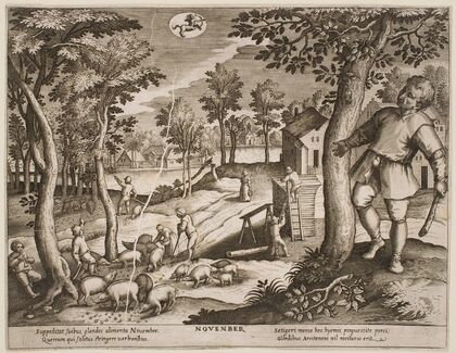 November (1610) — size preview