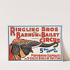 5 big herds of performing elephants in 5 circus rings at one time by Anonymous