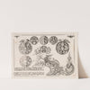 #5 from &#8216;Livre second essais de gravjre&#8217; second book of Engraved Designs (c. 1703) by Pierre Bourdon