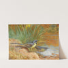 5 Grey Wagtails (1928) by Archibald Thorburn