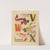 A. B. C.; Alphabet des petits poissons et des gros Pl.13 (1944) by Maurice Lorrain