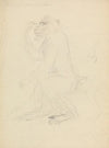 A Baboon
