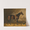 A Bay Horse in a Stable (1894) by Emil Volkers
