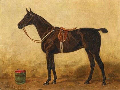 A Bay Horse in a Stable (1904)