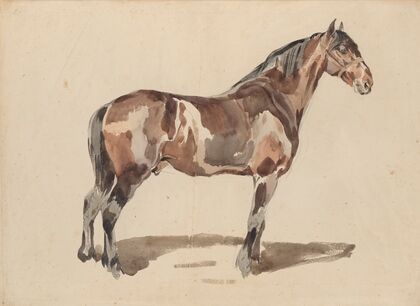 A bay horse is in the bridle