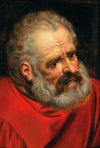 A Bearded Old Man In A Red Cloak