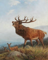 A Bellowing Stag