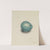 A Bird&#039;s Egg by James Sowerby