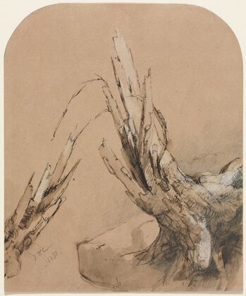 A Blasted Tree (1851)