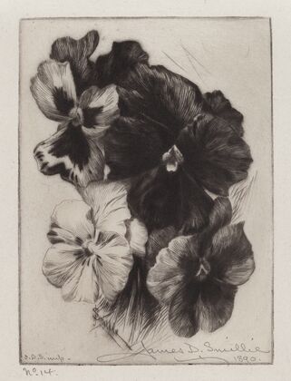 A Bunch of Pansies (1890)