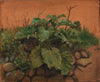 A Burdock And Other Plants On A Stone Wall