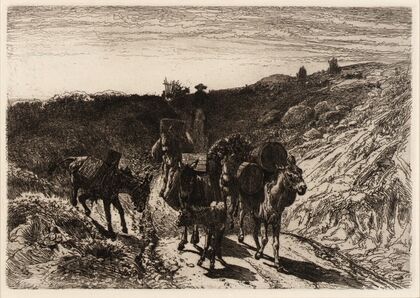 A Burro Train, New Mexico