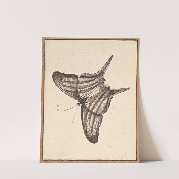 A Butterfly by Nicolaas Struyk