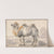 A Camel (1646) by Cornelis Saftleven