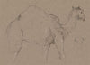 A Camel Moving to the Right; a Sketch of a Camel’s Head, Bottom Right