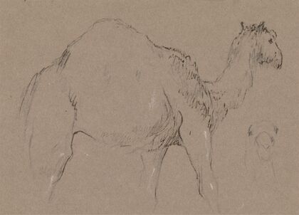 A Camel Moving to the Right; a Sketch of a Camel’s Head, Bottom Right