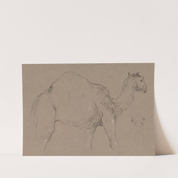 A Camel Moving to the Right; a Sketch of a Camel&#039;s Head, Bottom Right by George Jones
