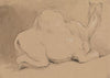 A Camel Resting